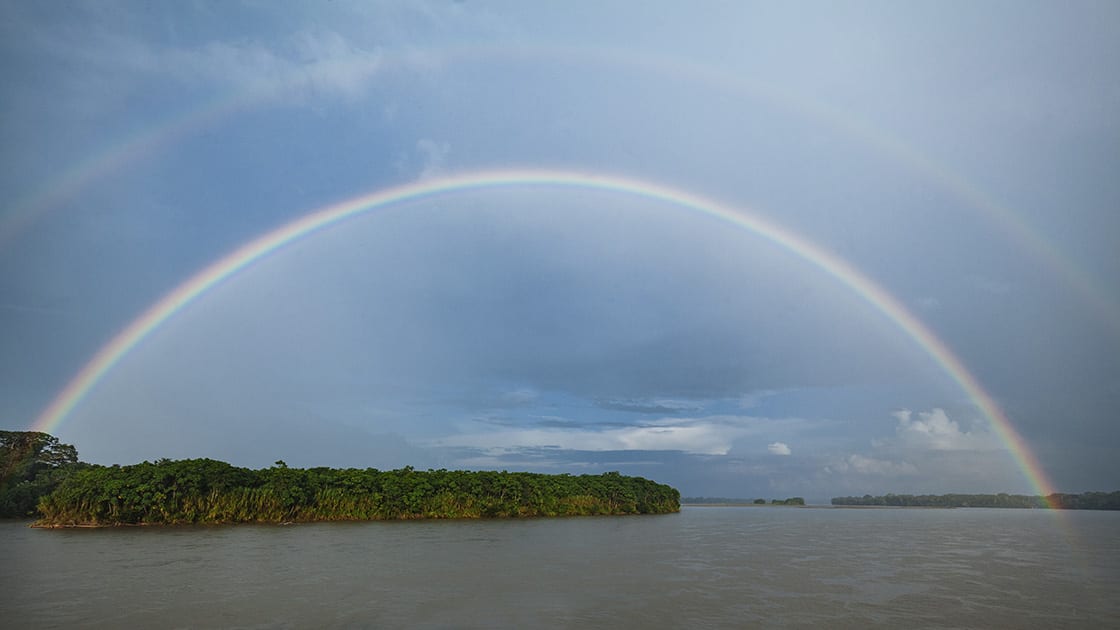 Rainbow At Yasuni Natural Reserve