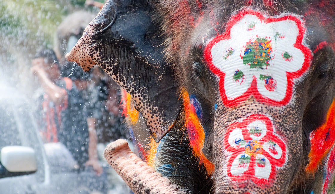 line of elephants during festival