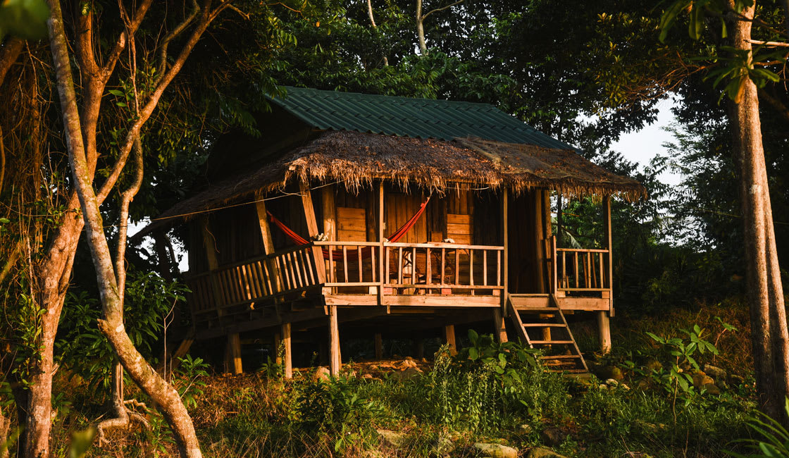 house in the forest