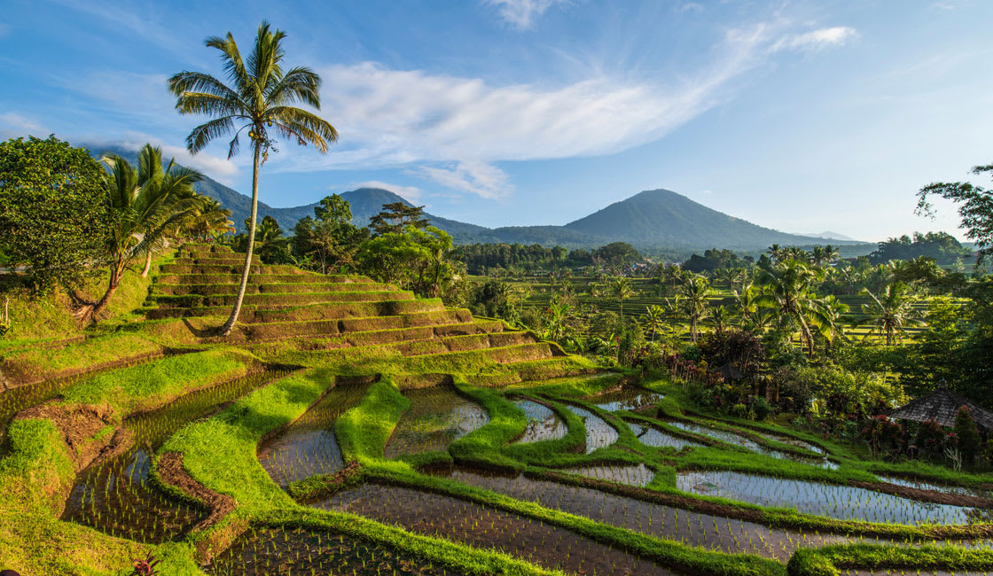 FOTOS de INDONESIA, una SUPERPOTENCIA del FUTURO :) - Forocoches