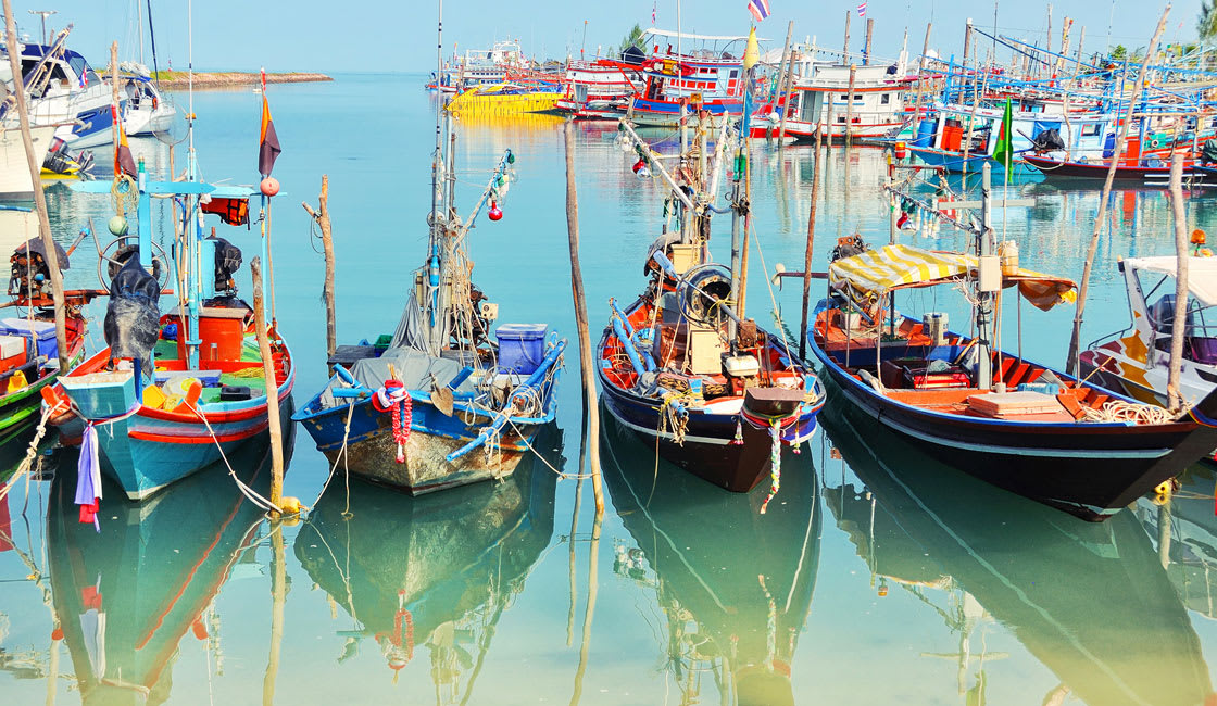 boats in a shore