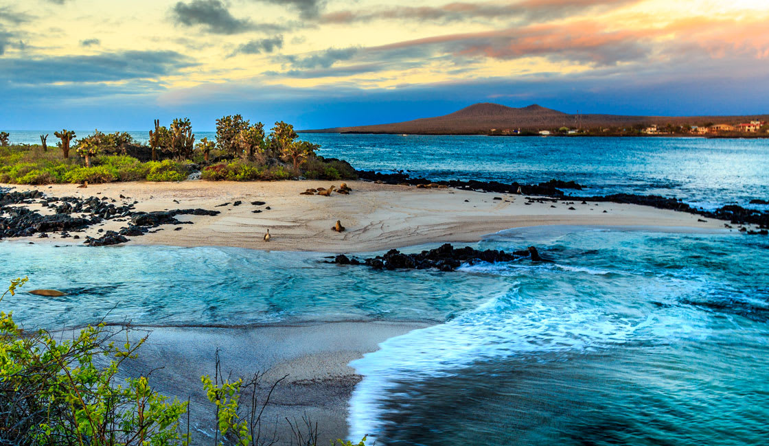 galapagos islands