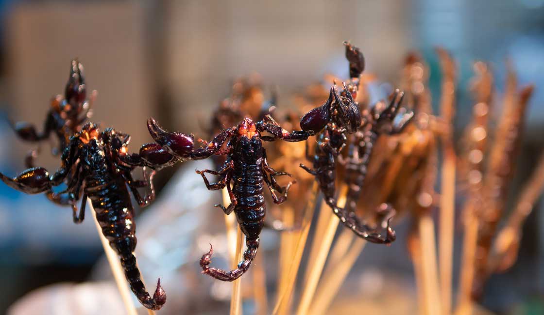 Scorpio skewers