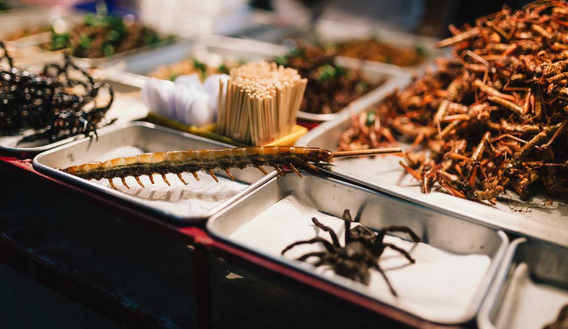 Tarantula on a market display