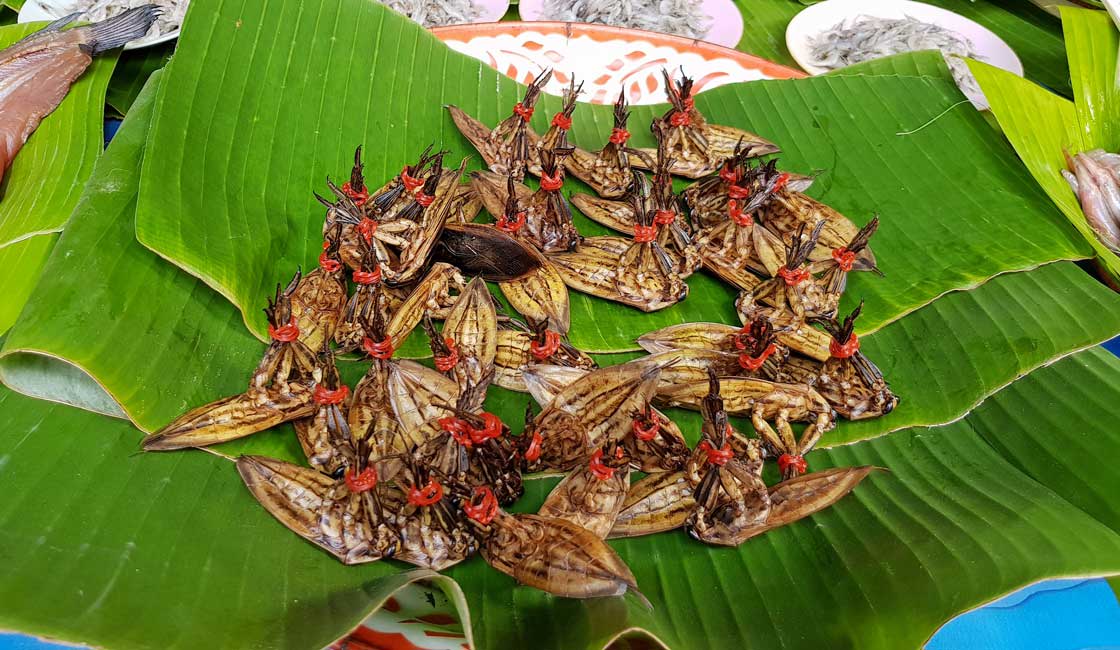 Water bugs on the banana leaves