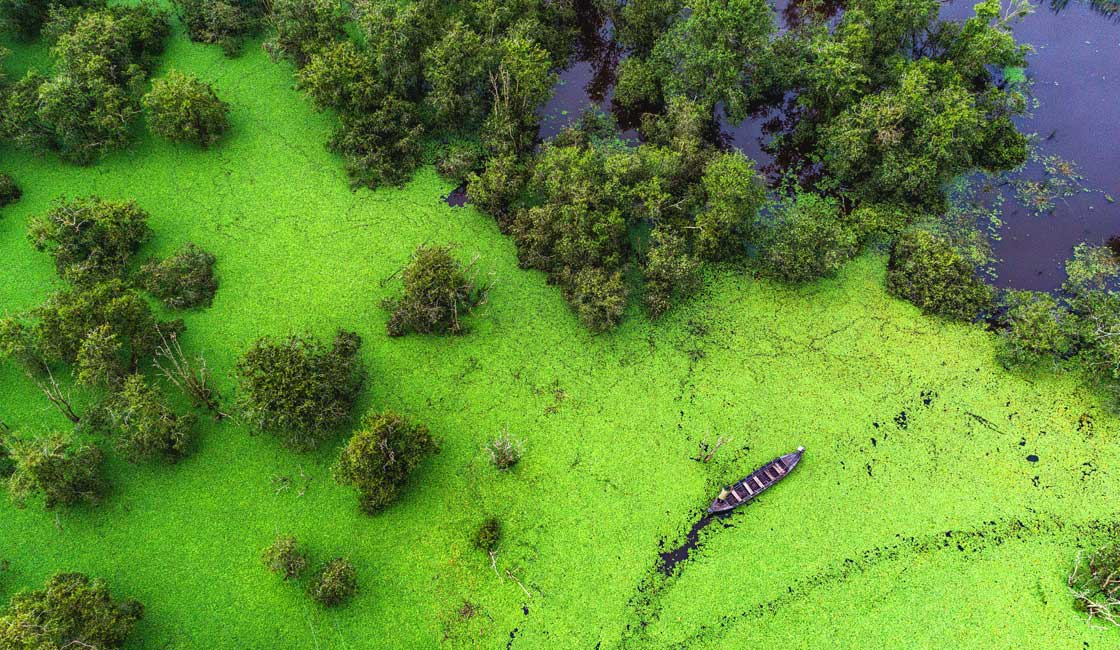 Wetlands seen from above