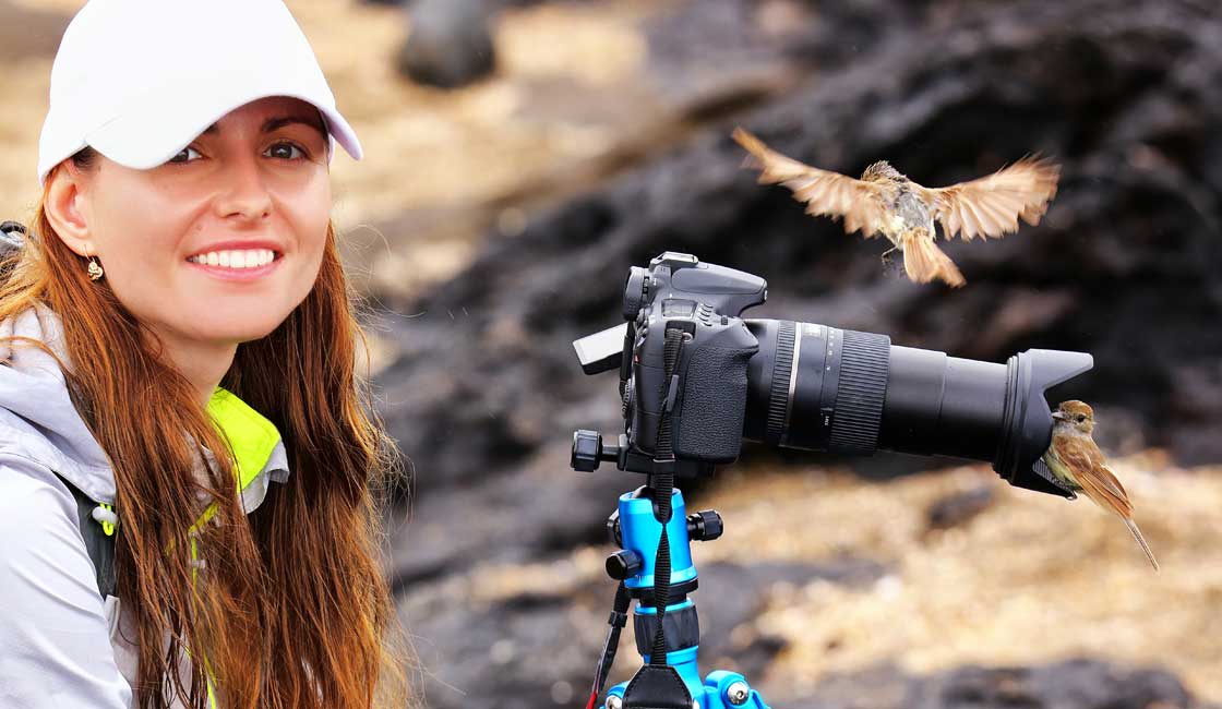 Birds sitting on a photographer's camera