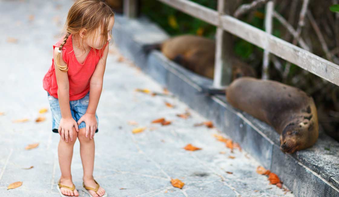 A girl observing a sea lion