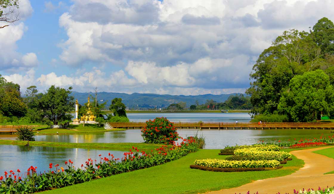 Gardens with ponds