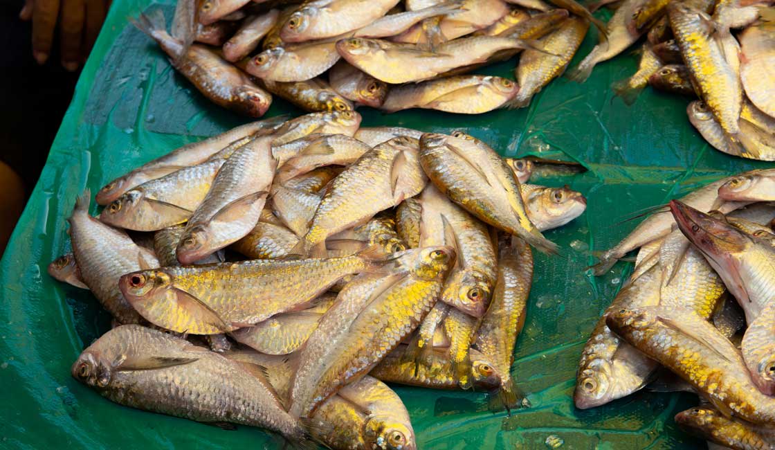 Fried fish sold at the market