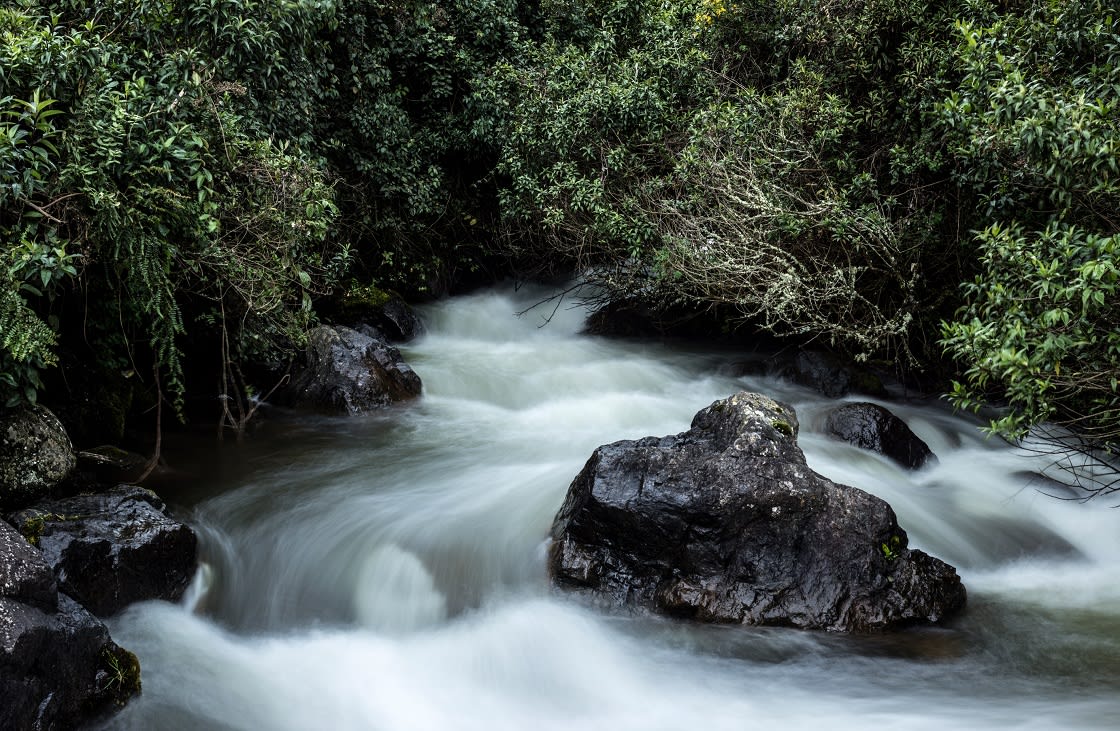 flowing river papallacta outside Quito