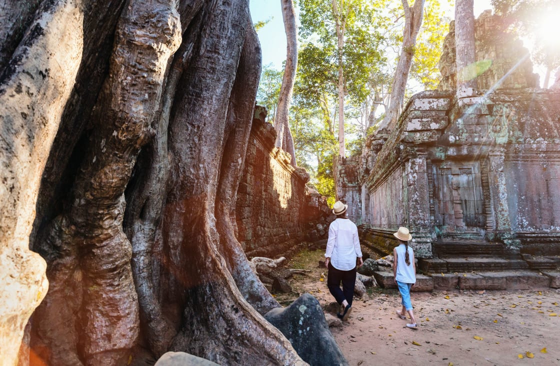 trees in a temple