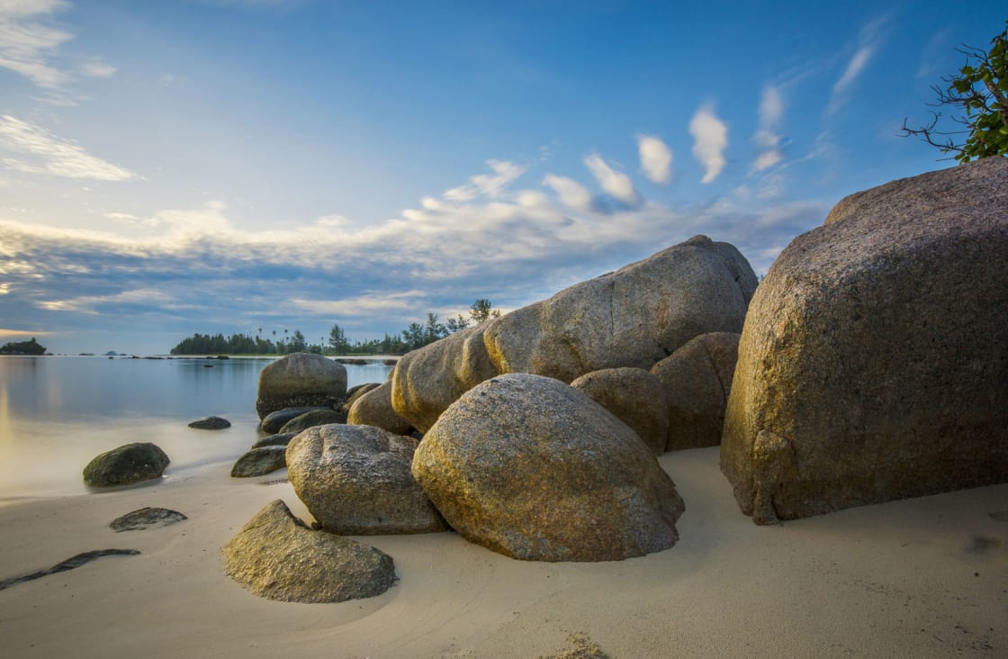 rocks at the beach