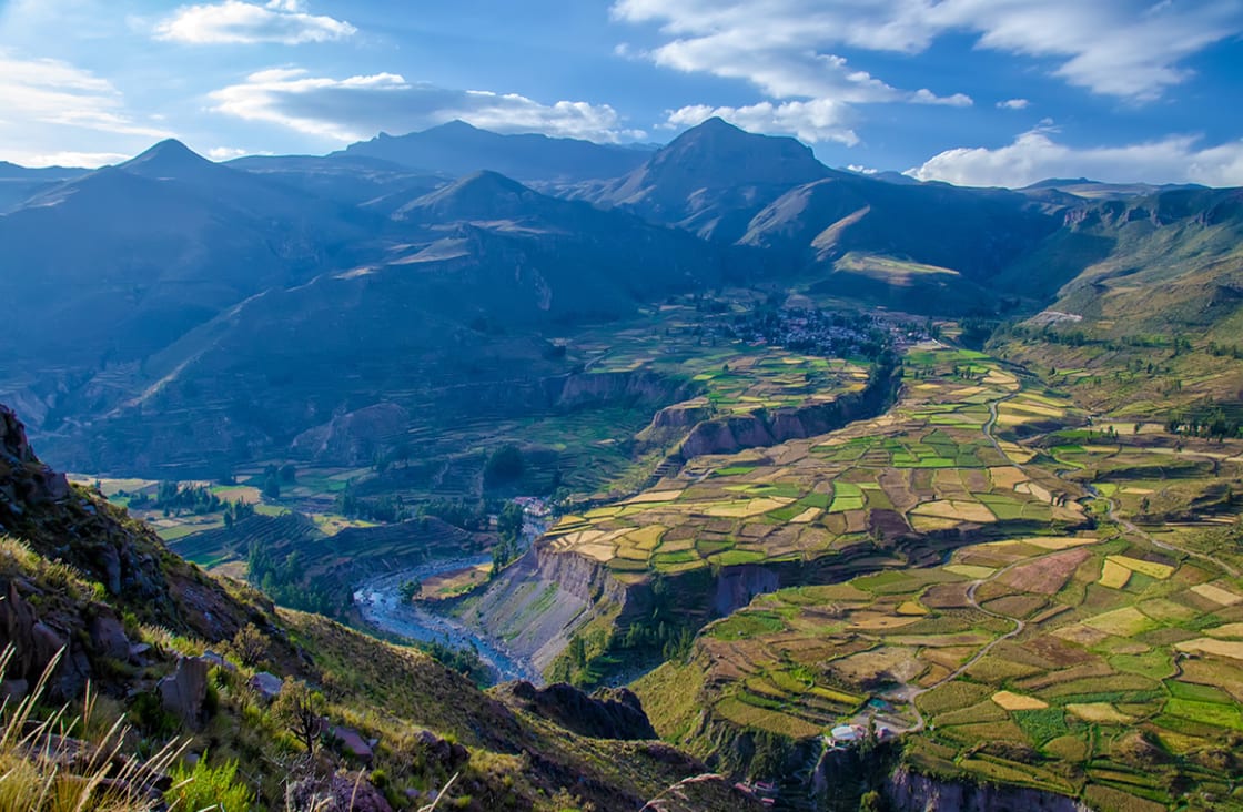 Colca Canyon Arequipa