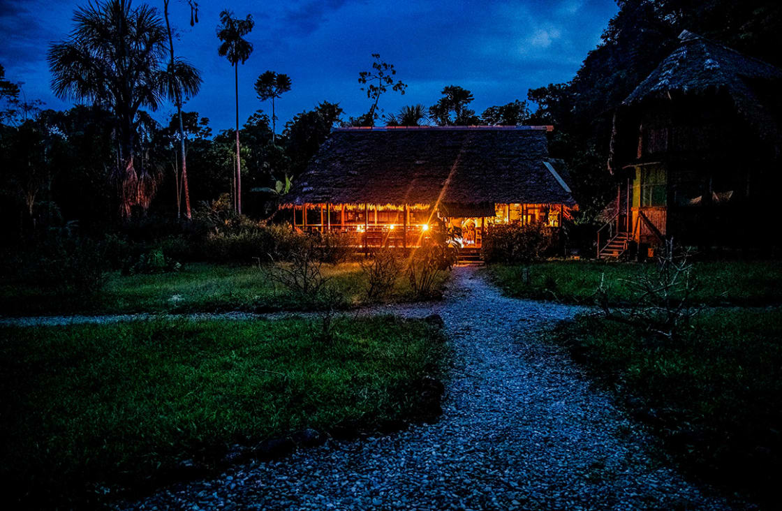 Amazon,Rain,Forest,Lodge