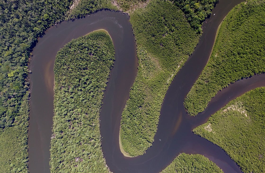 Top,View,Of,Amazon,Rainforest,,Brazil