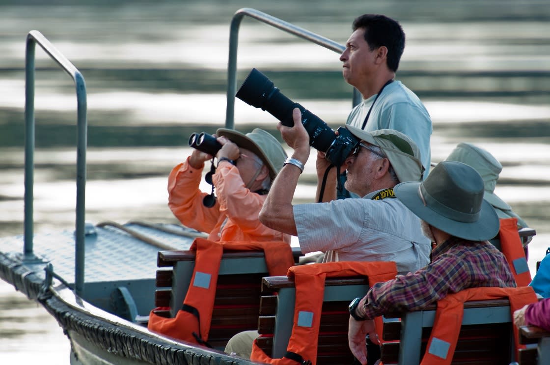 Spotting Wildlife From The Skiff