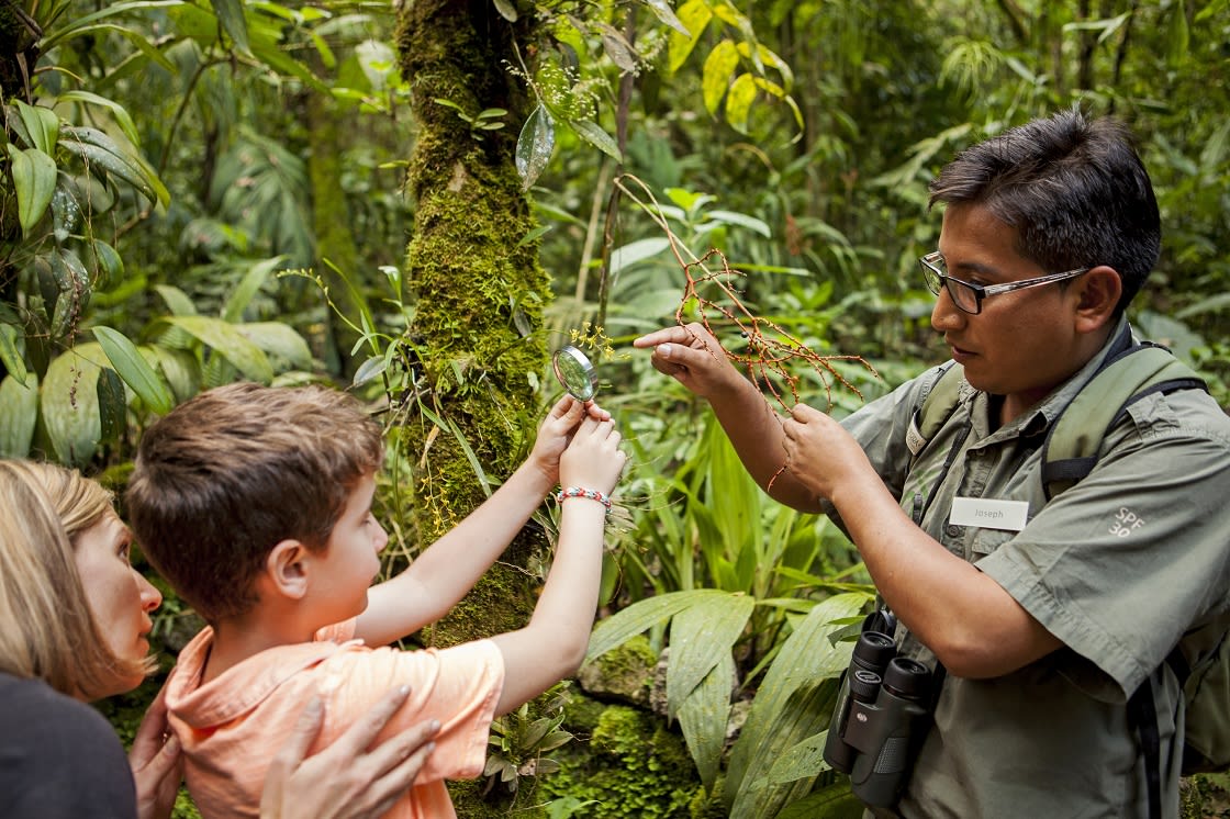 Inkaterra-Guide-with Kids-Orchids2