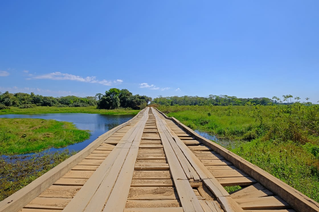 Old,Damaged,Wooden,Bridge,On,The,Transpantaneira,Dirt,Road,With