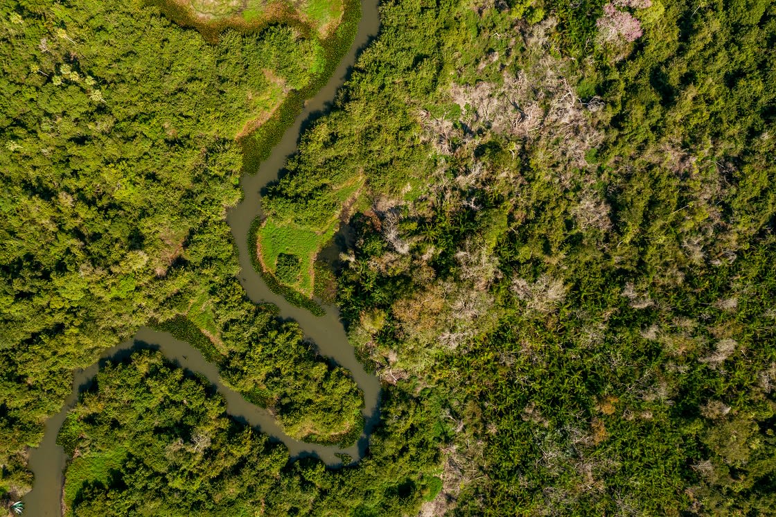 Aerial,View,Of,Pantanal,River,In,Brazil