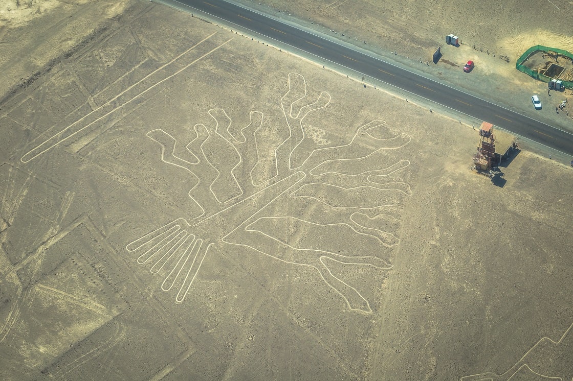Tree Figure Of The Nazca Lines 