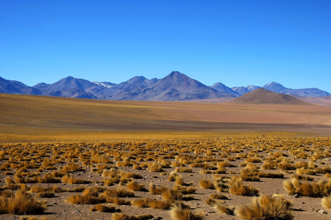 Atacama Desert