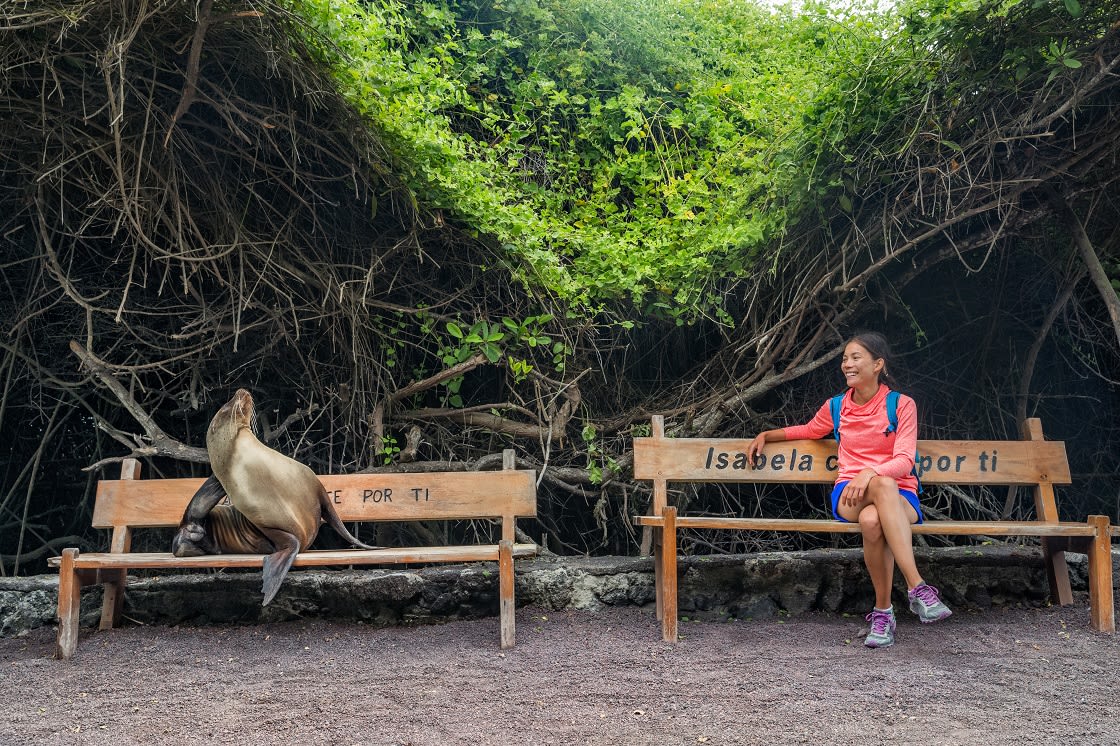 Tourist Sitting With Sealion