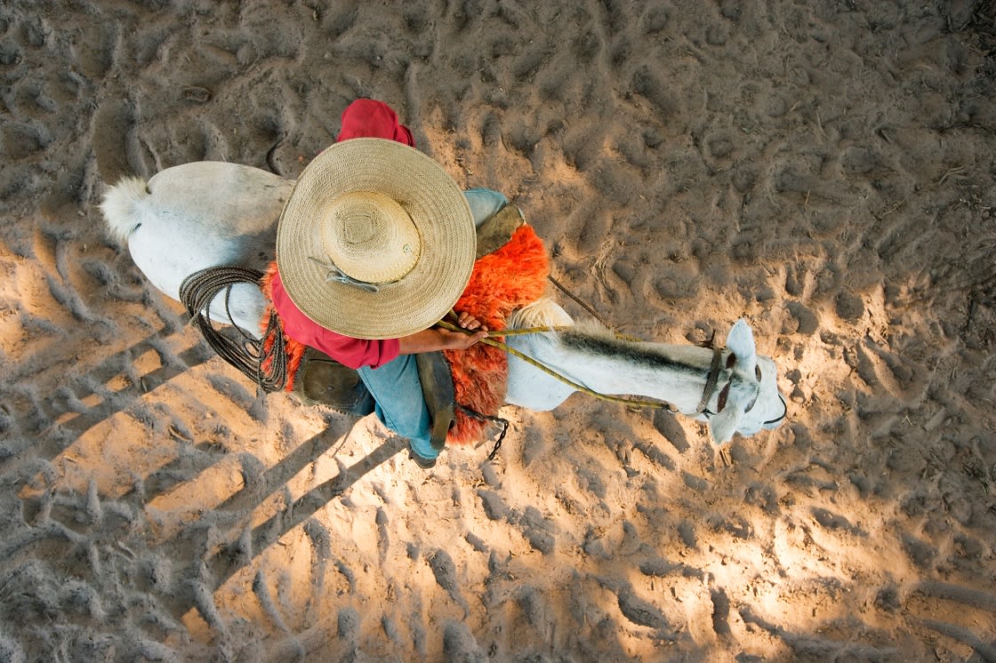 Riding A Horse In Pantanal