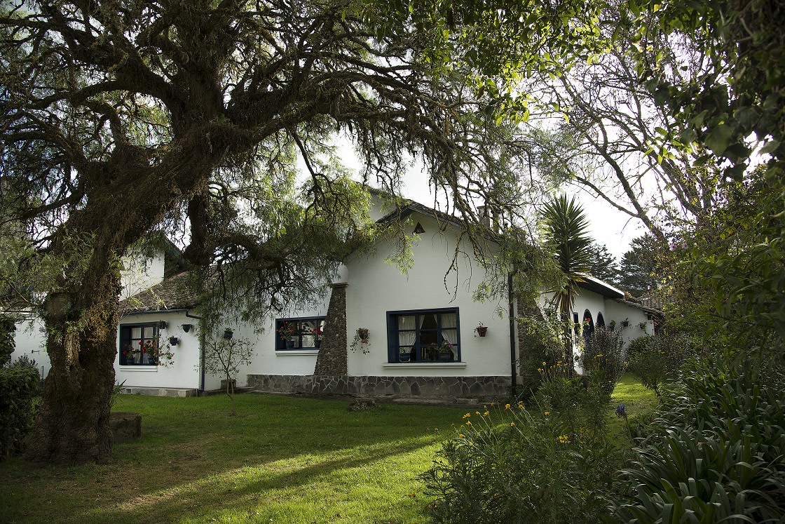 在Ecuador-casa-zuleta-ecuador-exterior