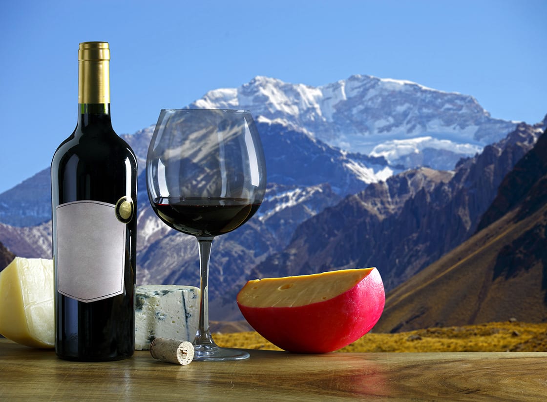 Argentine Wine And Cheese And The Aconcagua Mountain In The Back