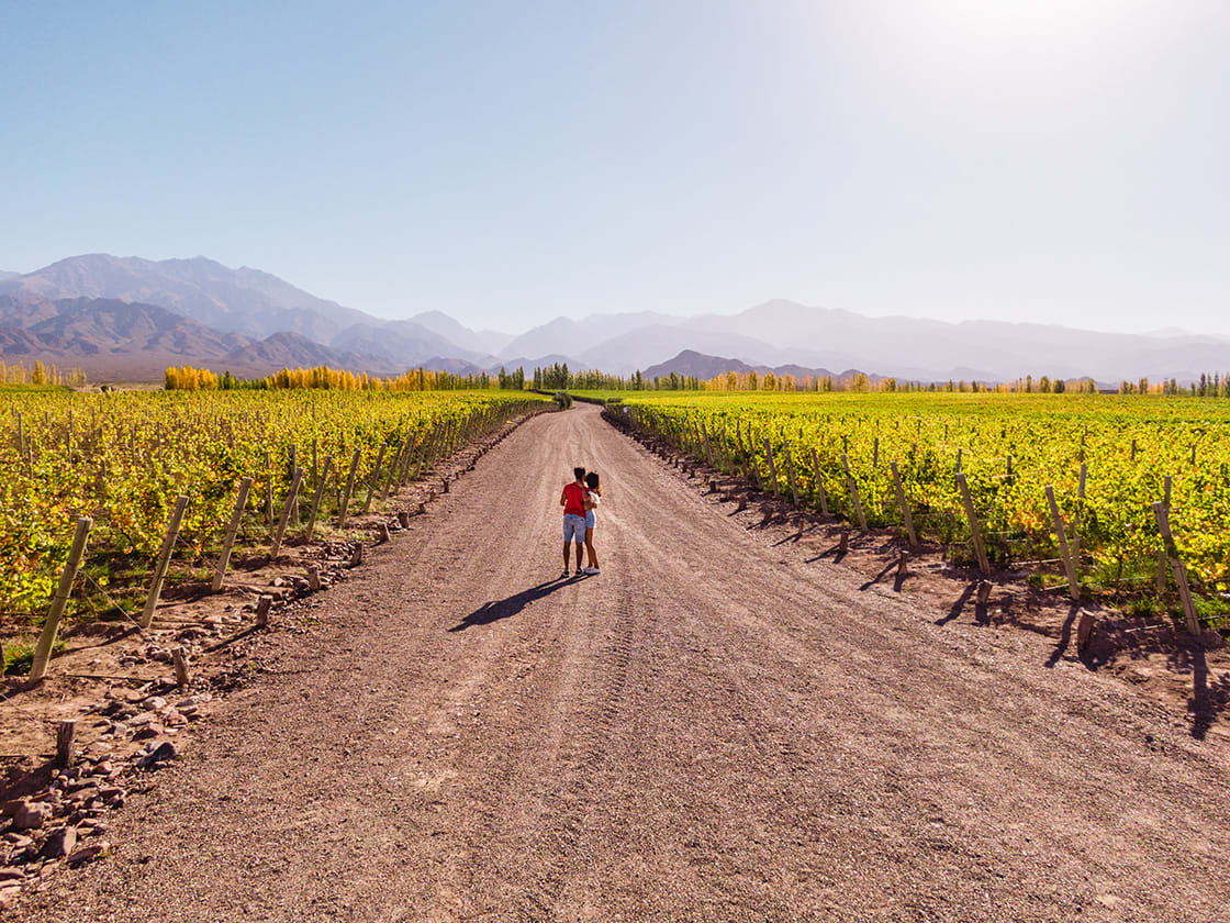 Cute Couple Walking Down The Vineyards