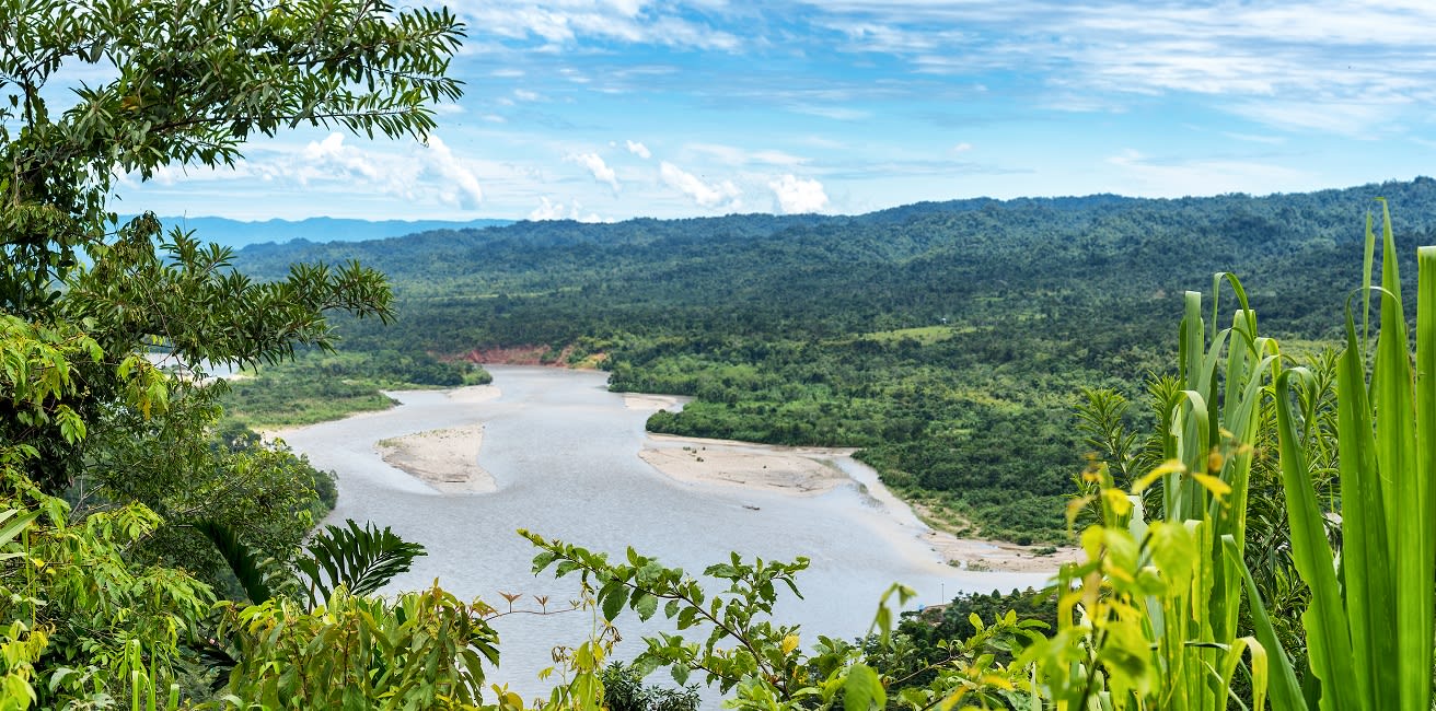 Manu National Park, Peru