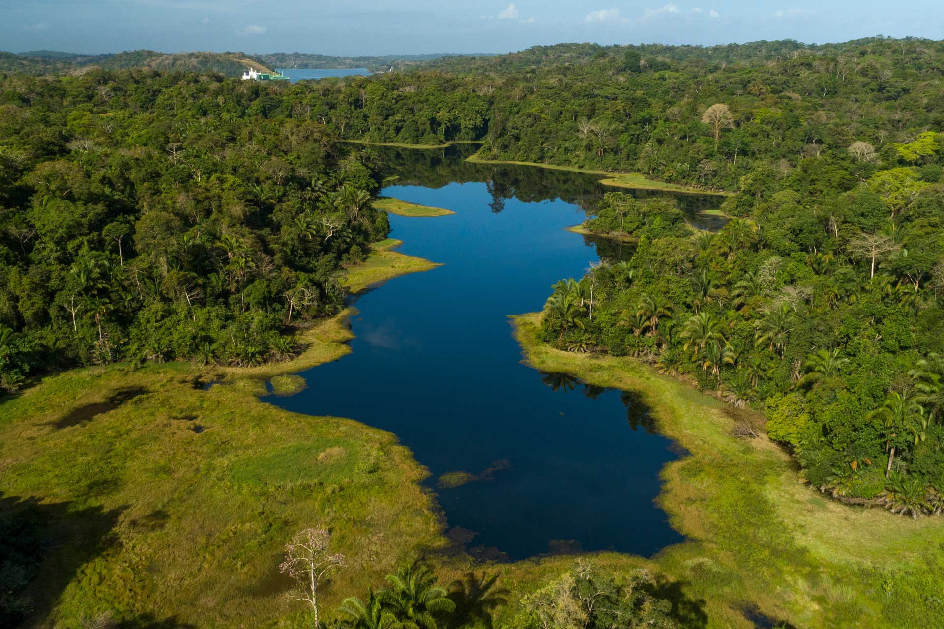 An aerial view of a dark blue lake surrounded by dense green rainforest in Soberanía National Park.