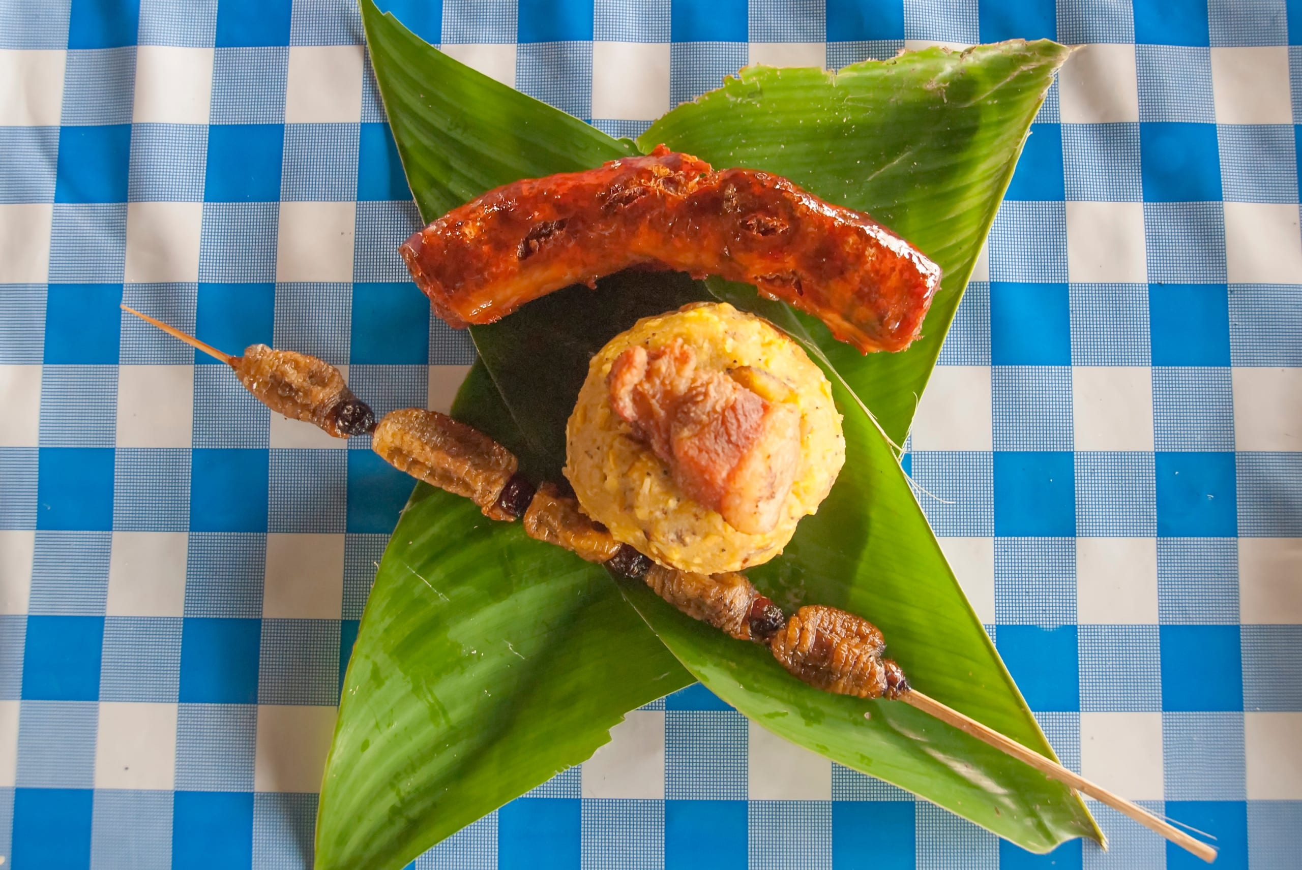 烤苏瑞蠕虫装饰和香肠