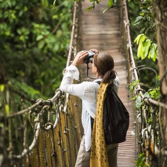 A woman watching wild life from the canopy walkway the can