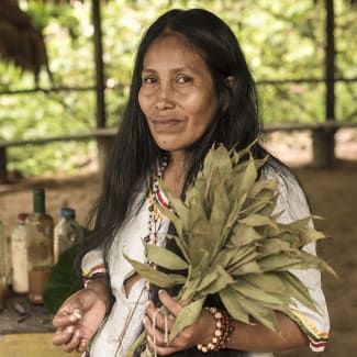 Amazonian Chamana carrying leaves