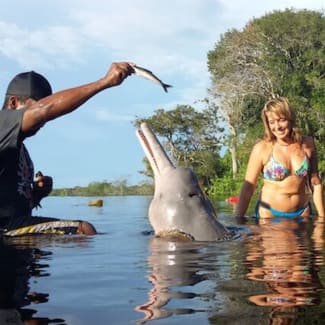 Man feeding a river dolphin