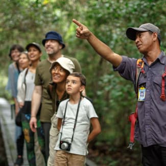 Guide and a group in the forest
