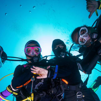 Divers from underneath