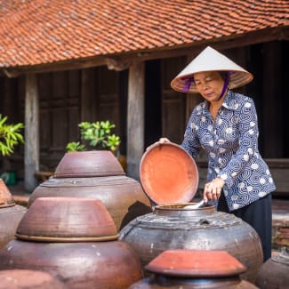 Vietnamese lady