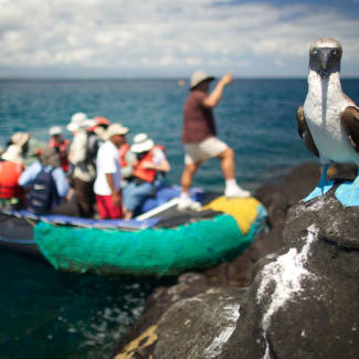 A bird and people on a zodiac in the background