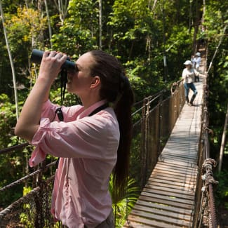 Amazon Canopy Walkway