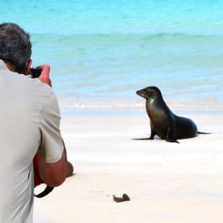 A man taking a photo of a sea lion on the beach