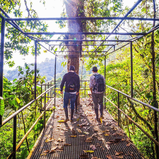 two men in a jungle walkway