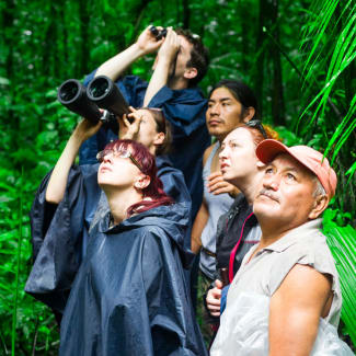 A group of tourists observing the wildlife