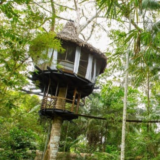 Treehouse