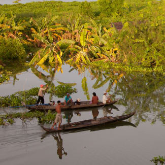 Boats on the overgrown lake