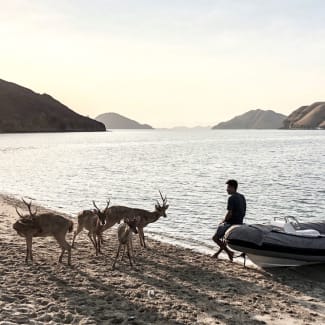 Man sitting on a zodiak approached by the deer