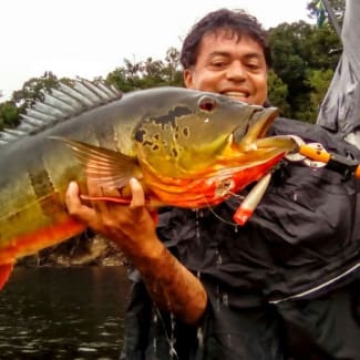 Man holding up a large fish