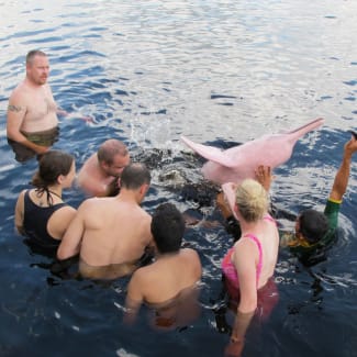 People surrounding a pink dolphin